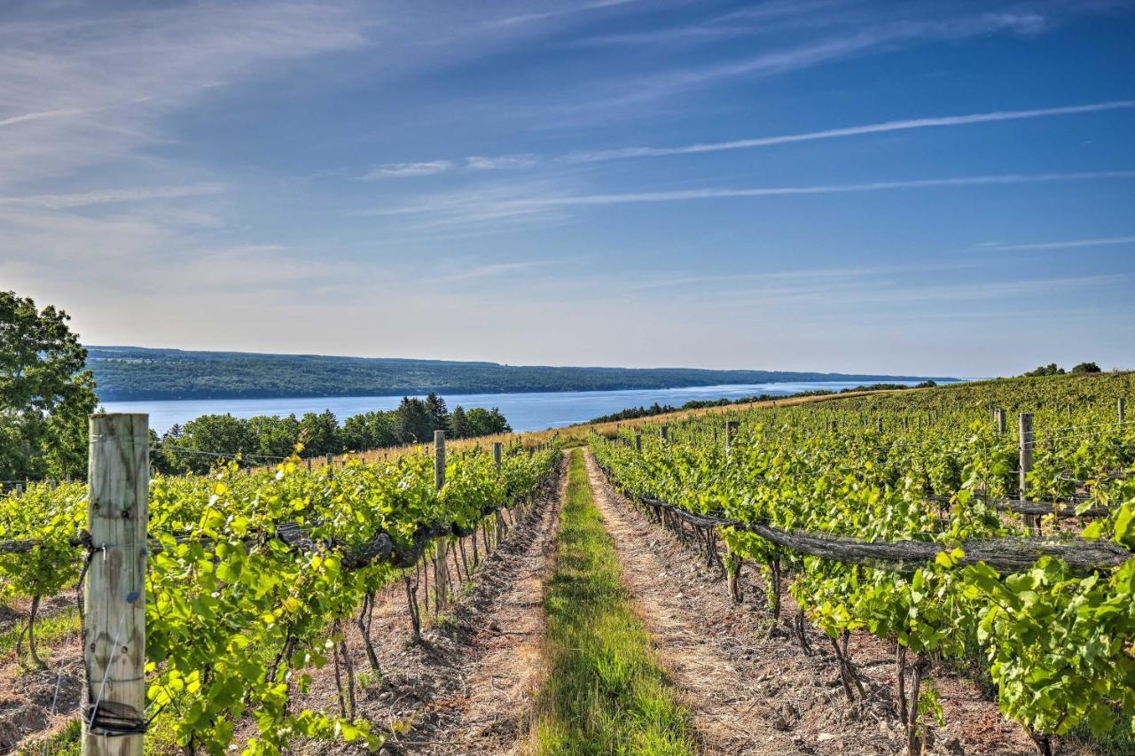 Finger Lakes Farm Retreat Walk To Wineries! Hector Ngoại thất bức ảnh