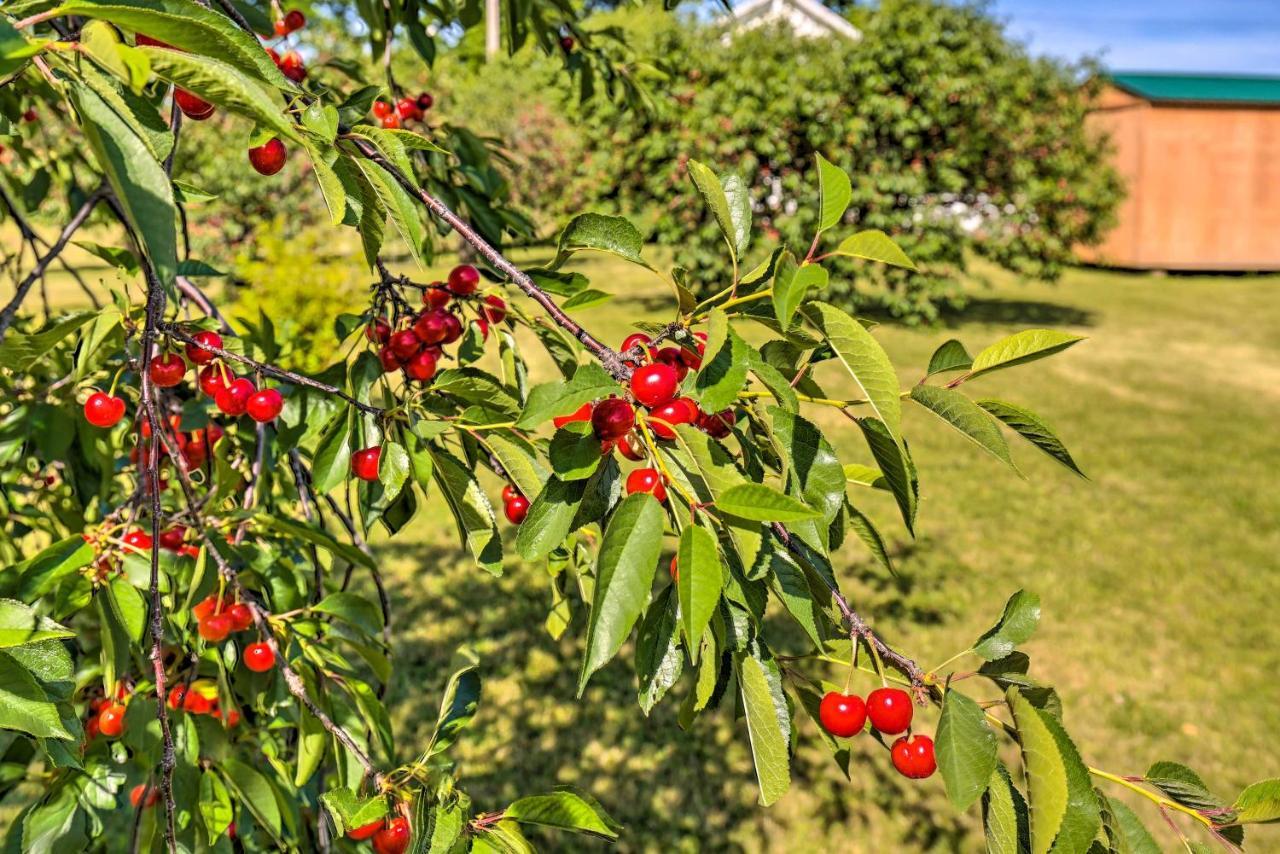 Finger Lakes Farm Retreat Walk To Wineries! Hector Ngoại thất bức ảnh