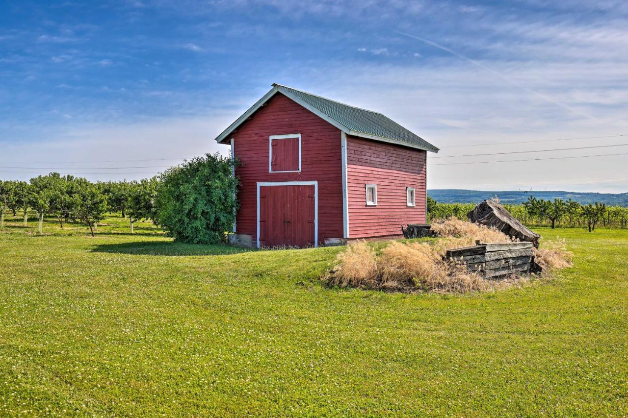 Finger Lakes Farm Retreat Walk To Wineries! Hector Ngoại thất bức ảnh