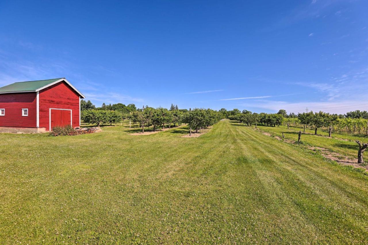 Finger Lakes Farm Retreat Walk To Wineries! Hector Ngoại thất bức ảnh