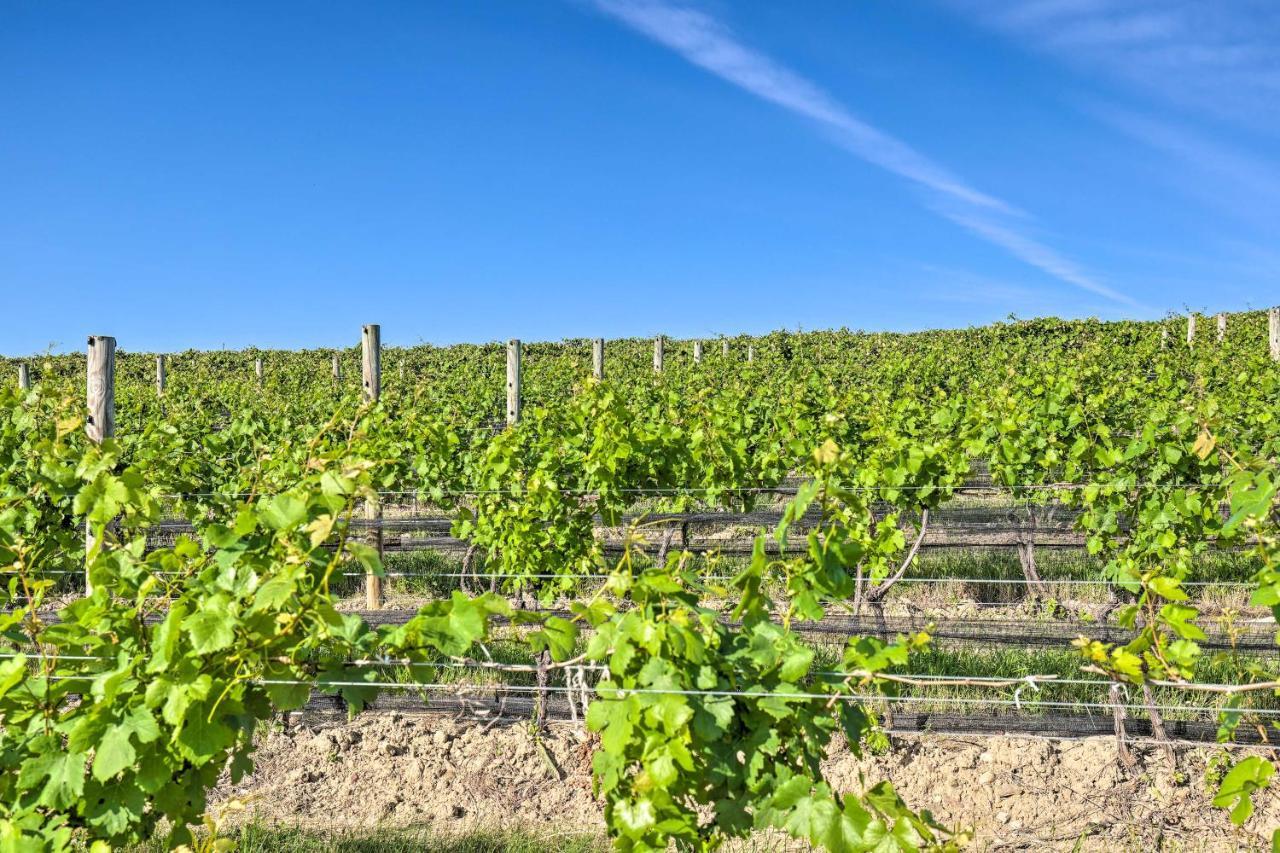 Finger Lakes Farm Retreat Walk To Wineries! Hector Ngoại thất bức ảnh